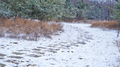 公园山谷小路雪景