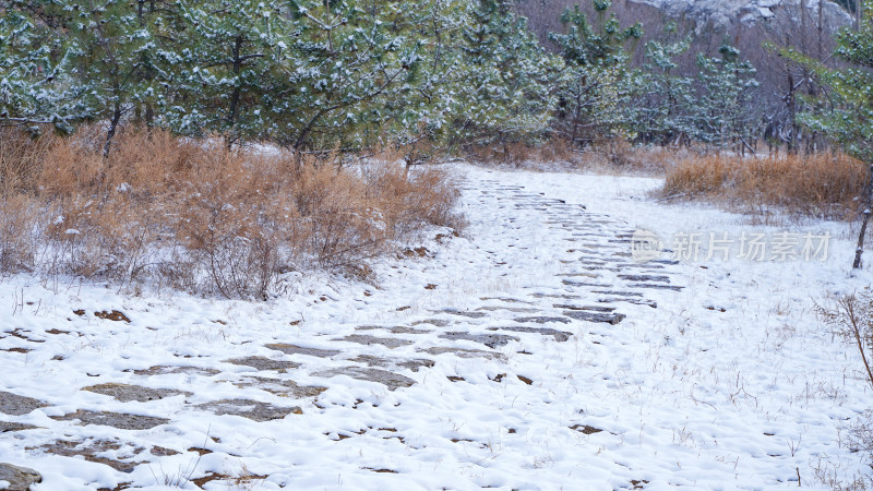 公园山谷小路雪景