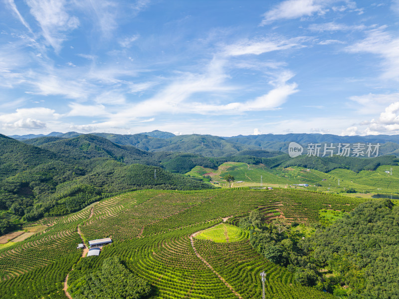 山峦梯田航拍图