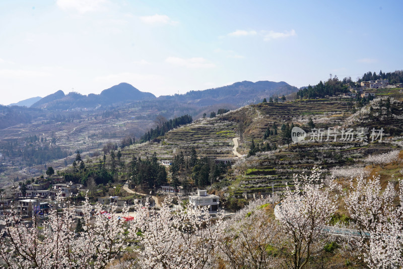 春日乡村