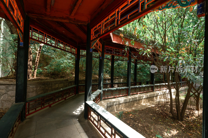 北京大学校内景色