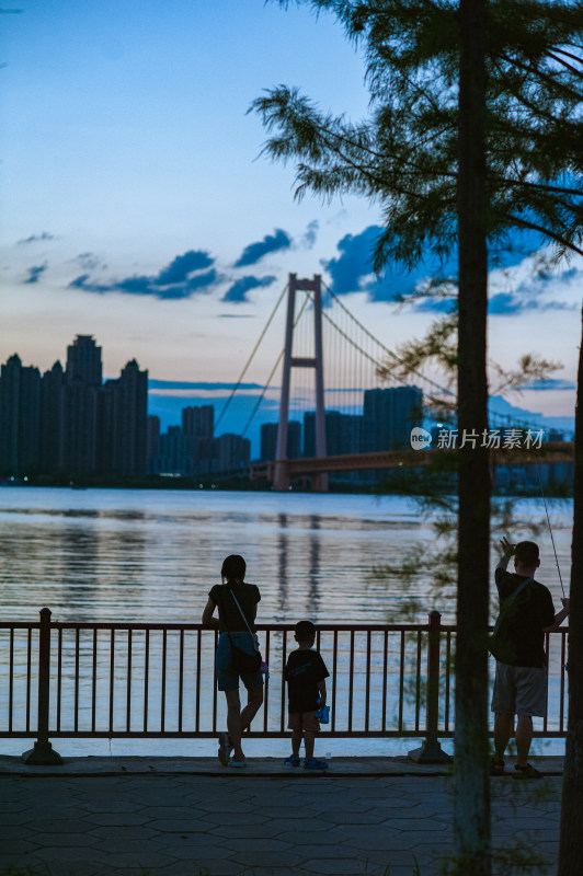 杨斯港长江大桥夕阳