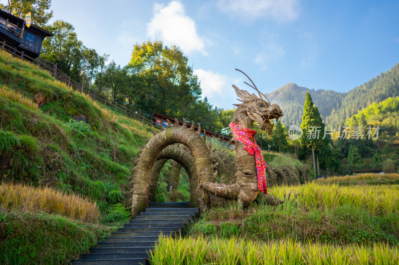 浙江丽水云和梯田景区 见龙在田