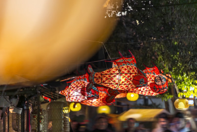 鱼灯笼花灯春节新年节日夜晚上海蟠龙天地