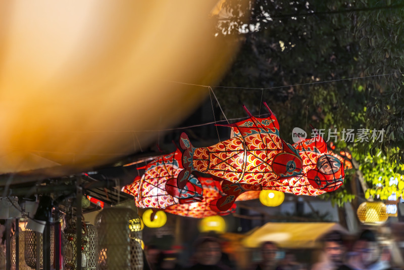 鱼灯笼花灯春节新年节日夜晚上海蟠龙天地