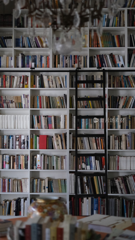 满是书籍的书架与室内场景
