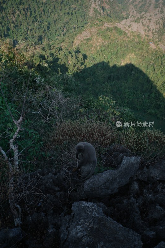 老挝万荣山地田野俯瞰风景