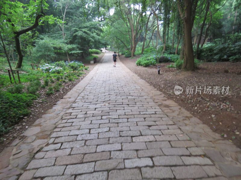 江苏无锡太湖鼋头渚风景区