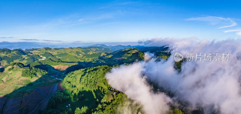 云雾缭绕的高山草原