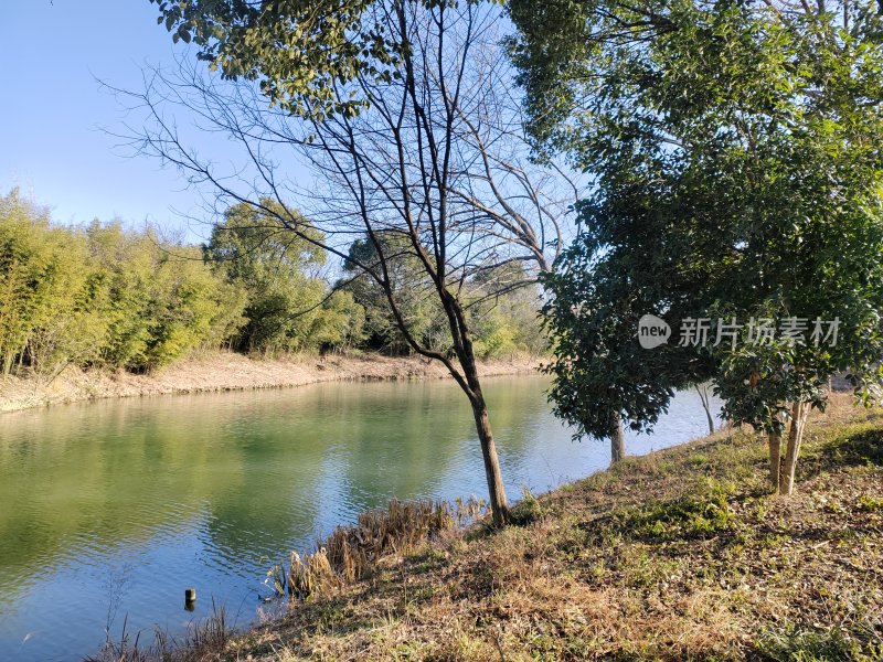 河边树木林立的自然风光景色