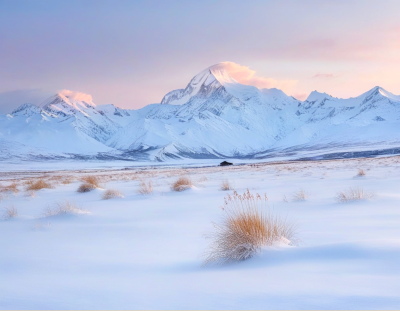 高山雪地