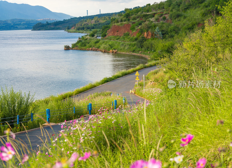 湖边开满鲜花的蜿蜒道路风景