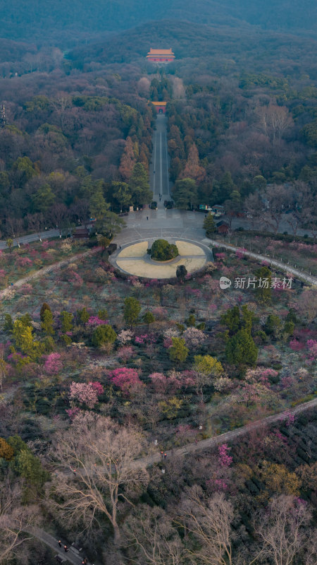 南京明孝陵与梅花山的树林环绕中的圆形景观