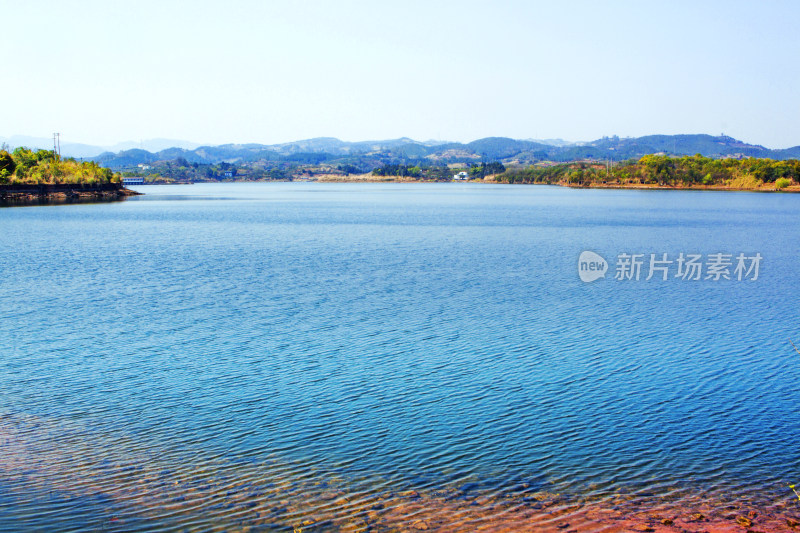 湖泊植物天空风景背景自然户外