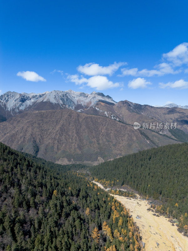 航拍雪山环抱下的宁静山林