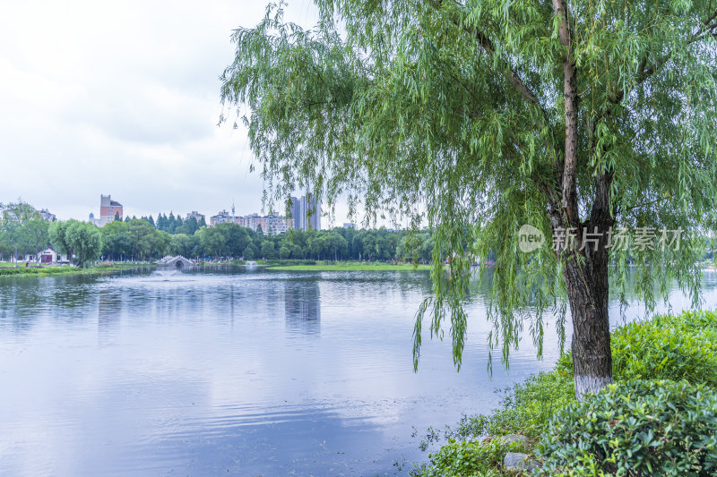 武汉武昌区紫阳公园风景