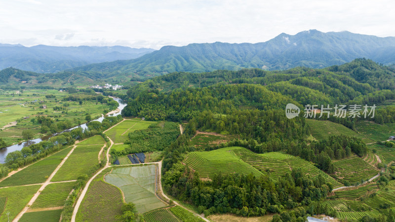 航拍武夷山绿色农田与茶园