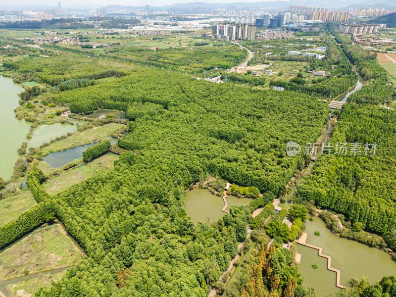 航拍昆明滇池捞鱼河湿地公园景观