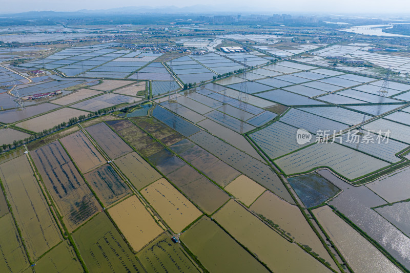 美丽乡村农业水稻种植水产品养殖