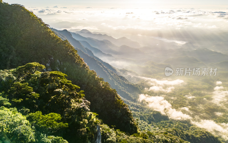 海南五指山热带雨林国家森林日出云海耶稣光