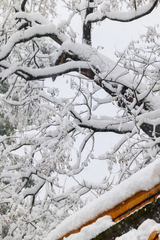 长沙岳麓书院雪景