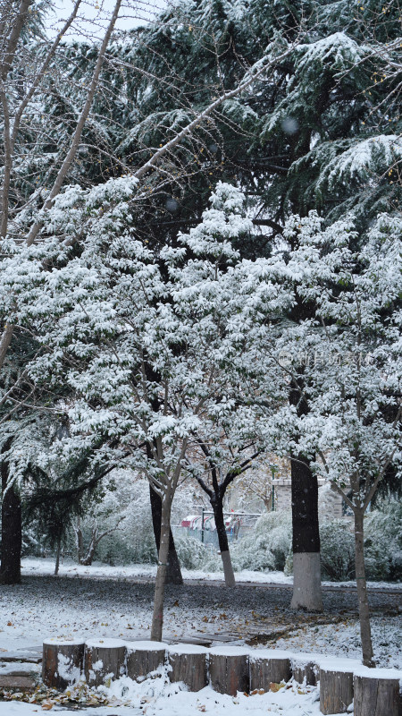 公园雪景