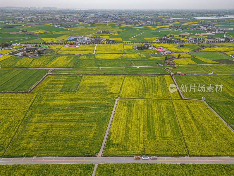 航拍四川德阳广汉高坪镇西高万亩油菜花基地