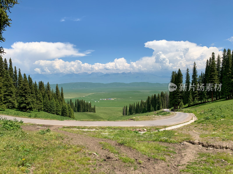 中国新疆伊犁那拉提草原夏季旅游风光