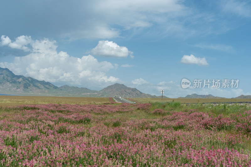 新疆博尔塔拉赛里木湖景区