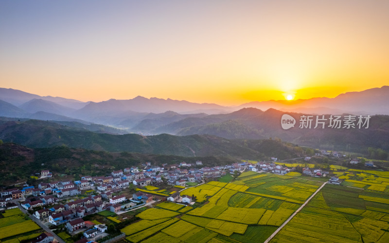 油菜花海包围的村庄 田园风光 乡村振兴