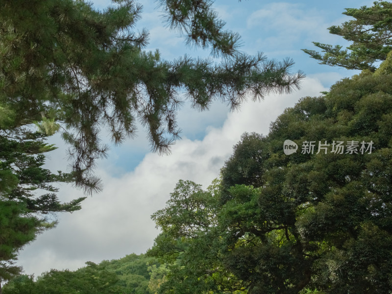 日式庭院 金泽兼六园