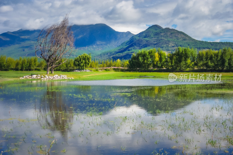 丽江拉市海湿地蓝天白云青山绿水自然风景