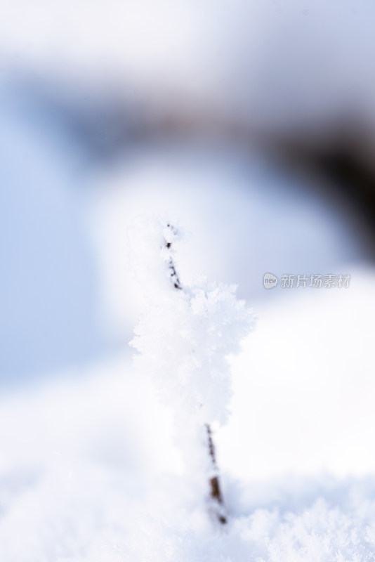 冬季室外雪景图片