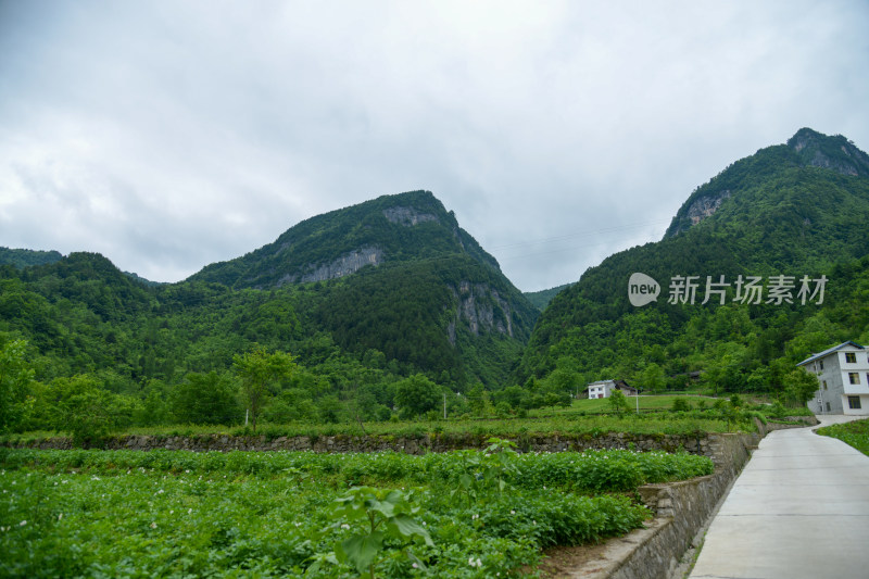 山间田园水泥路风景