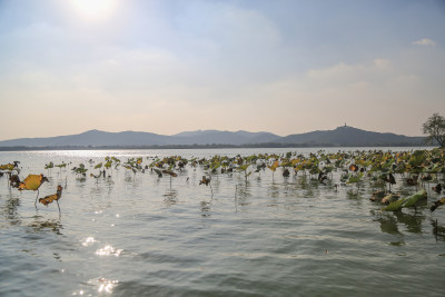 美丽的苏州石湖景区