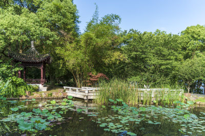 武汉东湖湖北书画院风景