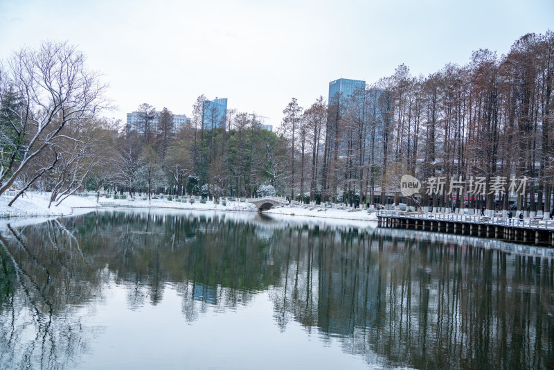 武汉冬天解放公园雪景