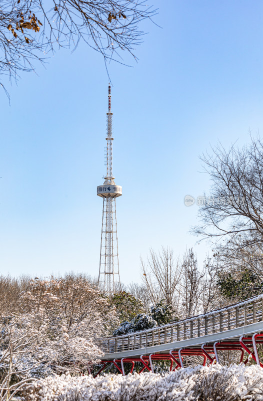 济南泉城公园自然景观雪景