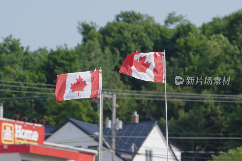 空中飘扬的加拿大国旗