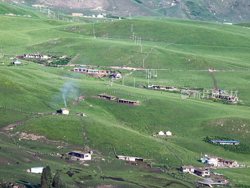新疆伊犁的早晨，大草原上冒着烟火气的房子