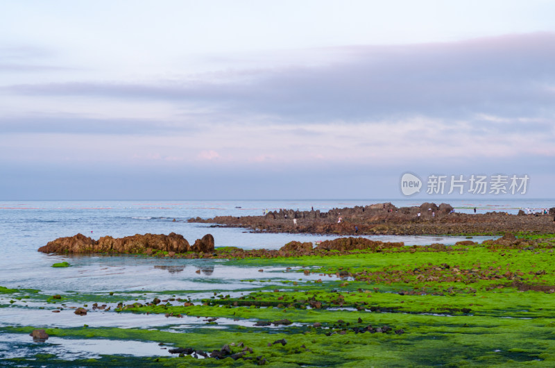 中国青岛小麦岛风光