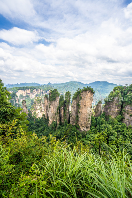 中国湖南张家界景区奇特山峰与茂密森林