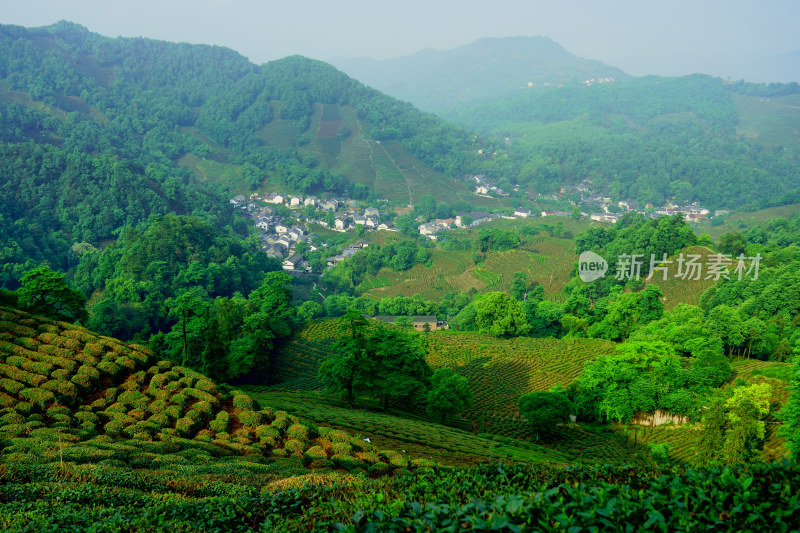 浙江杭州龙井村