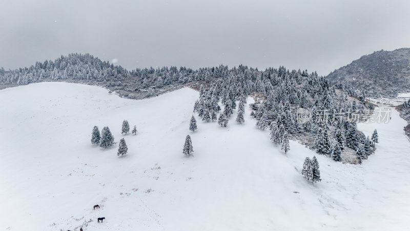 重庆酉阳：大雪纷飞赏雪忙