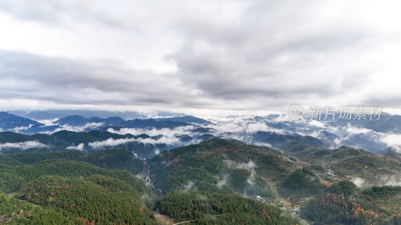 重庆酉阳：白果树边的美景