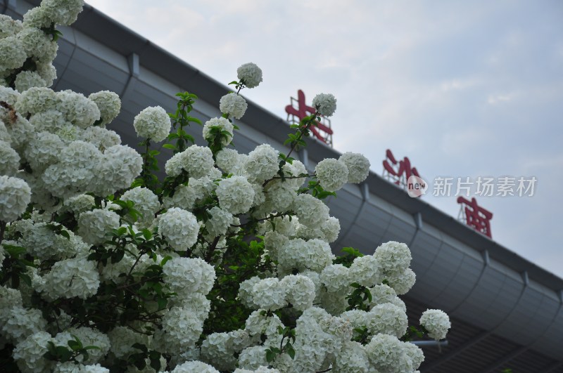 长沙风光  长沙街景 长沙城景  自然风景