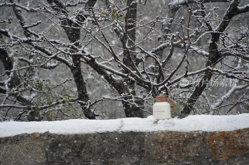 山东威海昆嵛山无染寺雪地里的白大师方片壶