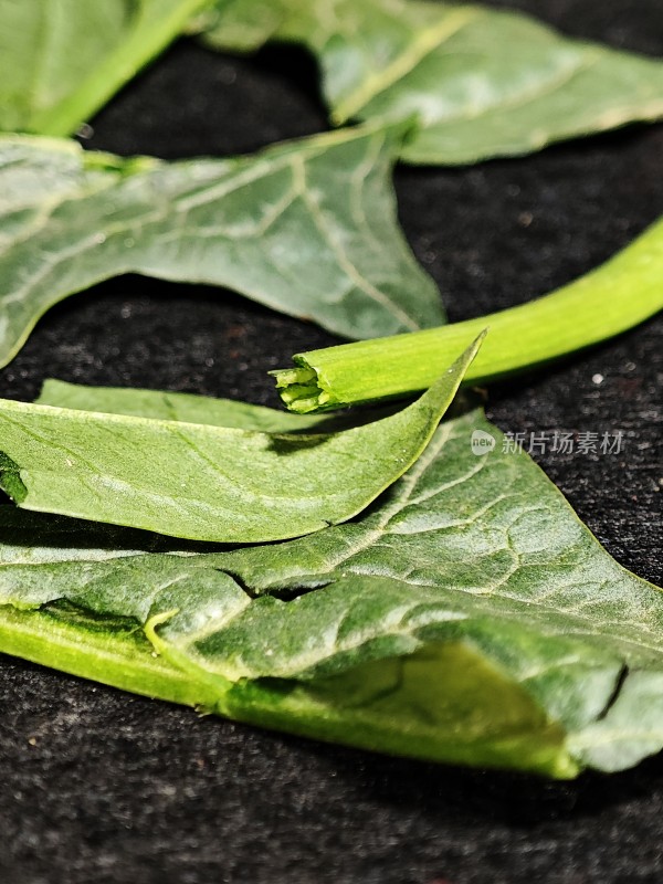 新鲜绿色蔬菜叶片特写