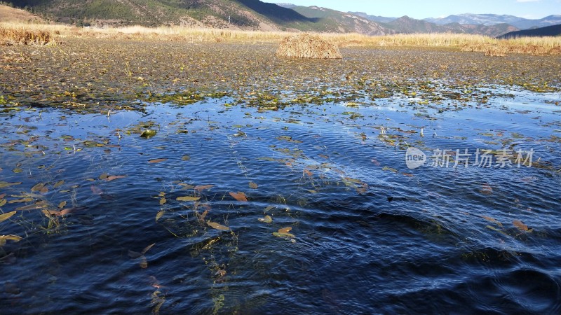 泸沽湖（资料图）