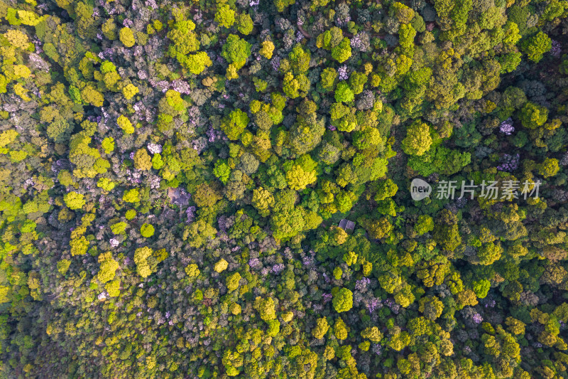 深圳梧桐山航拍图